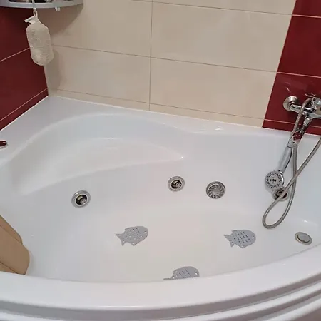 Casa Potcovarului Case de vacanță *