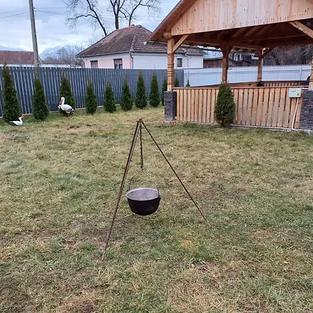Case de vacanță Casa Potcovarului *