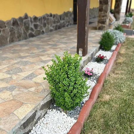 Casa Potcovarului Case de vacanță Dragus